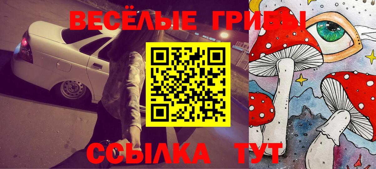 Галлюциногенные грибы прущие грибы Кашира