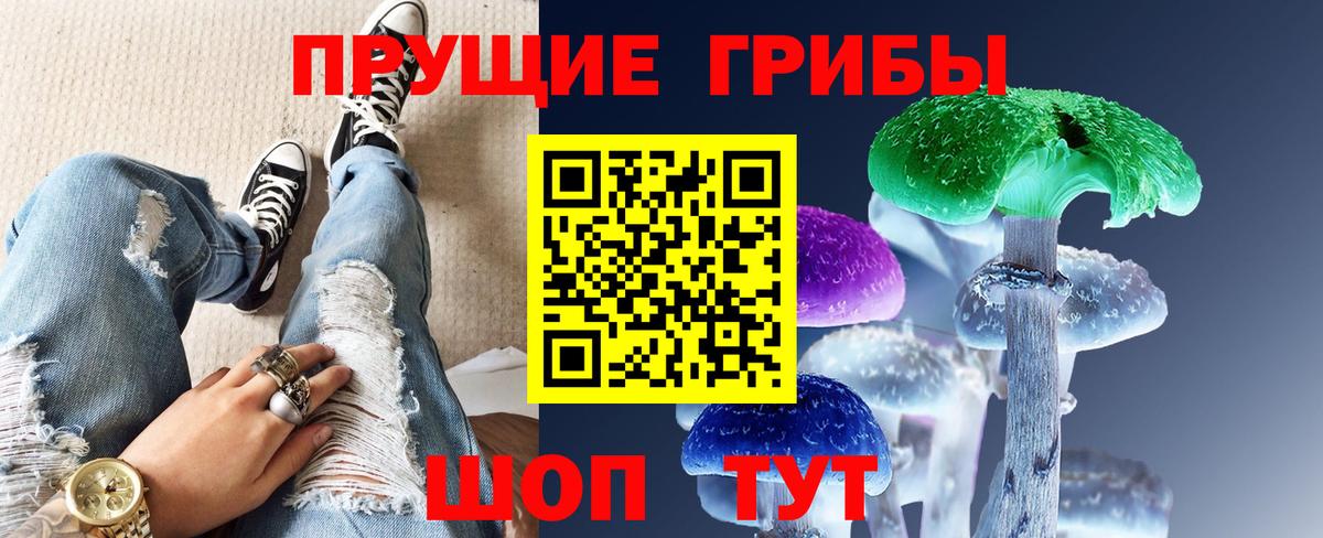 Галлюциногенные грибы Psilocybe  Вход с VPN  Кашира 